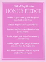 07_honor-pledge-1-scaled.jpg